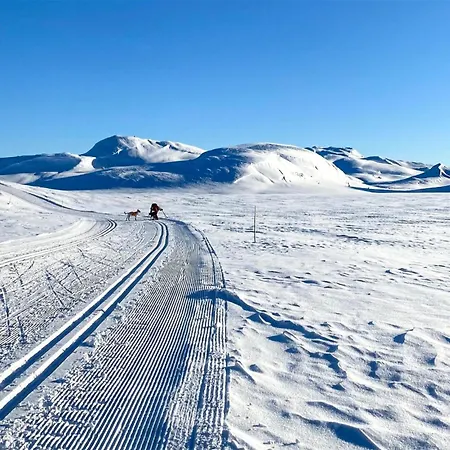 بيت للعطل Amazing In Rauland