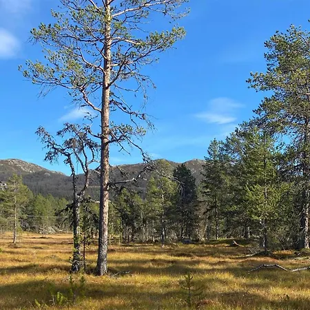 Amazing In بيت للعطل Rauland